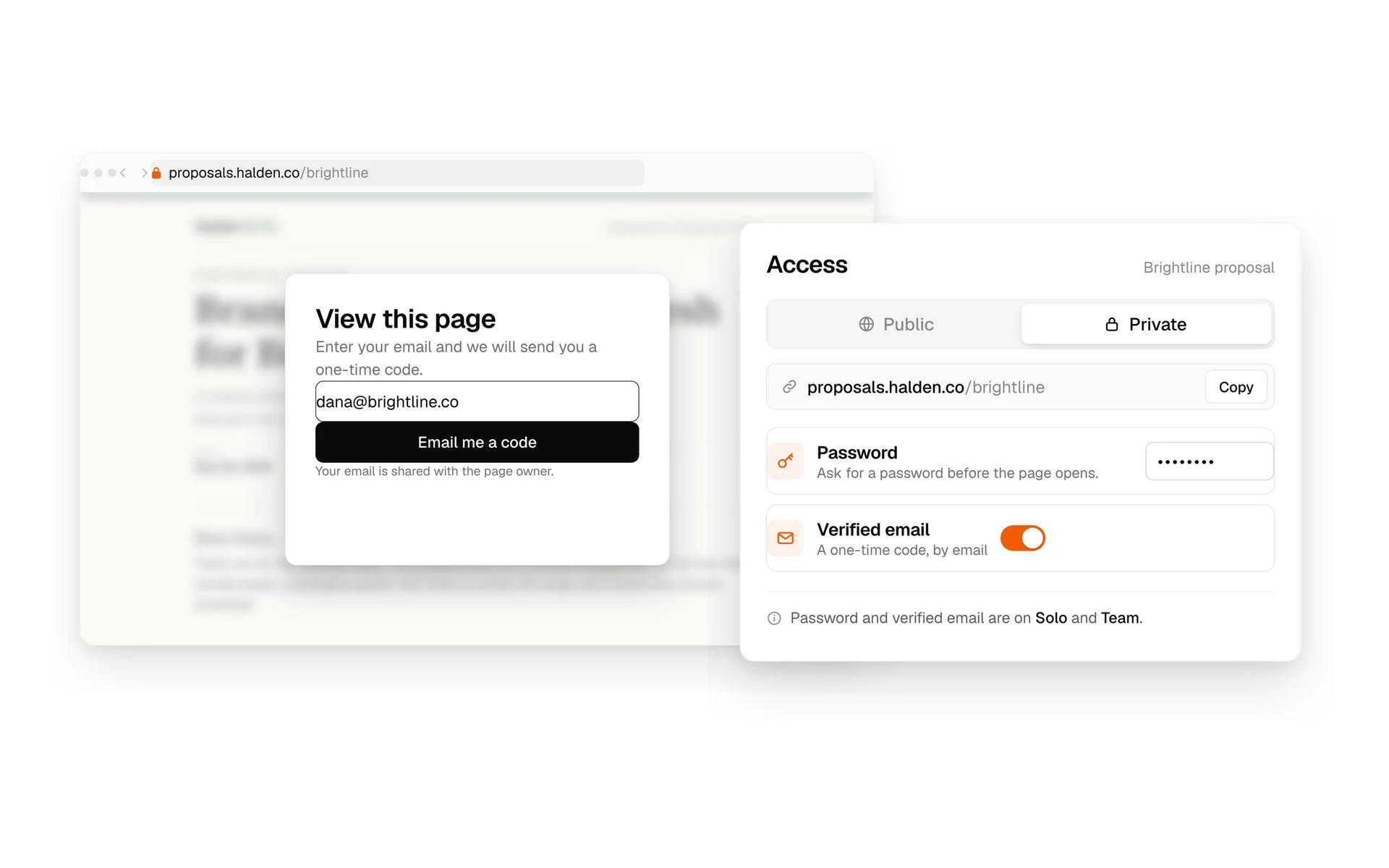 A page asking the visitor for their email, and the Access panel with password and verified email